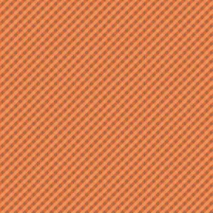 Autumn - C14660R-PUMPKIN - Gingham