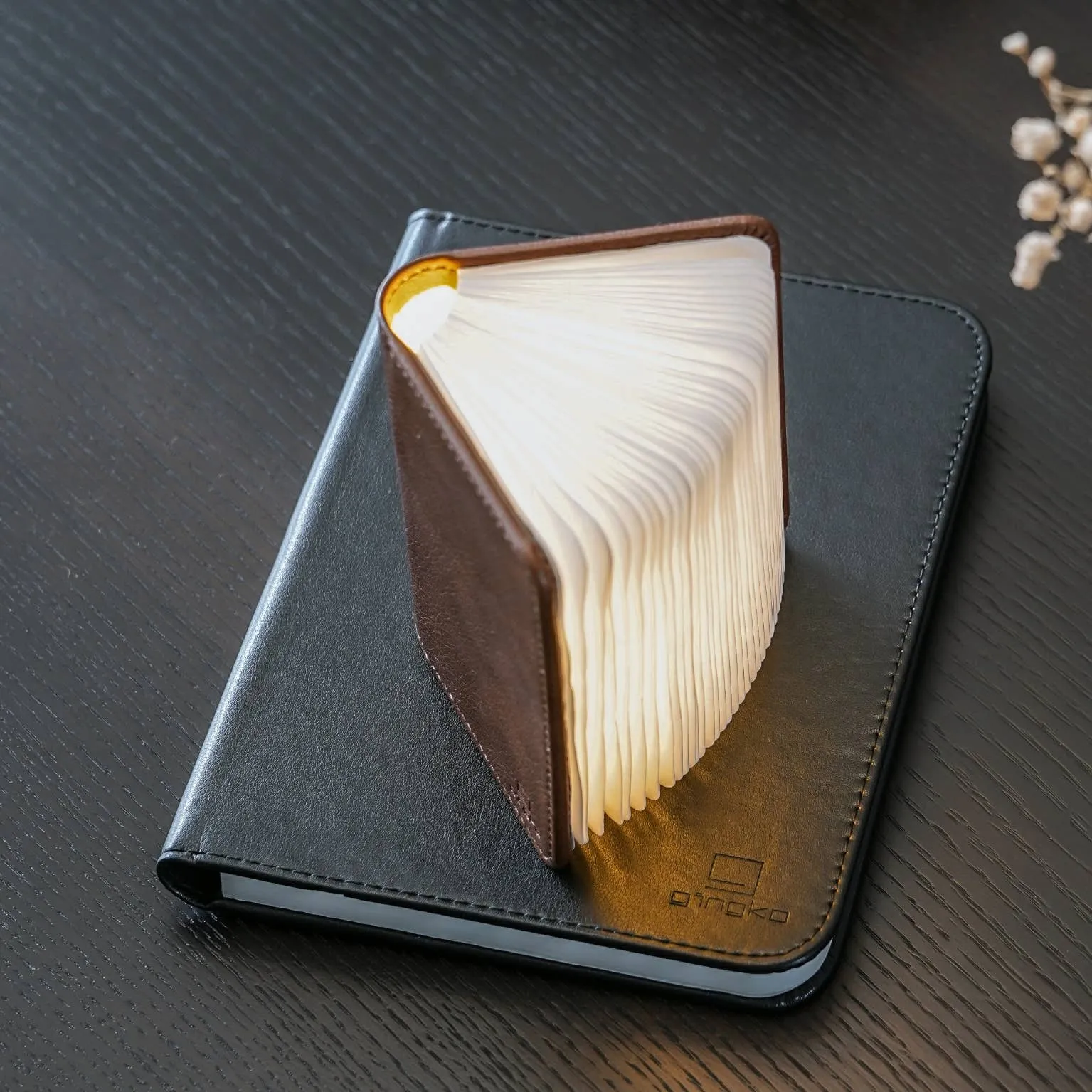 Bonded Leather Smart Book Light: Brown Leather / Mini