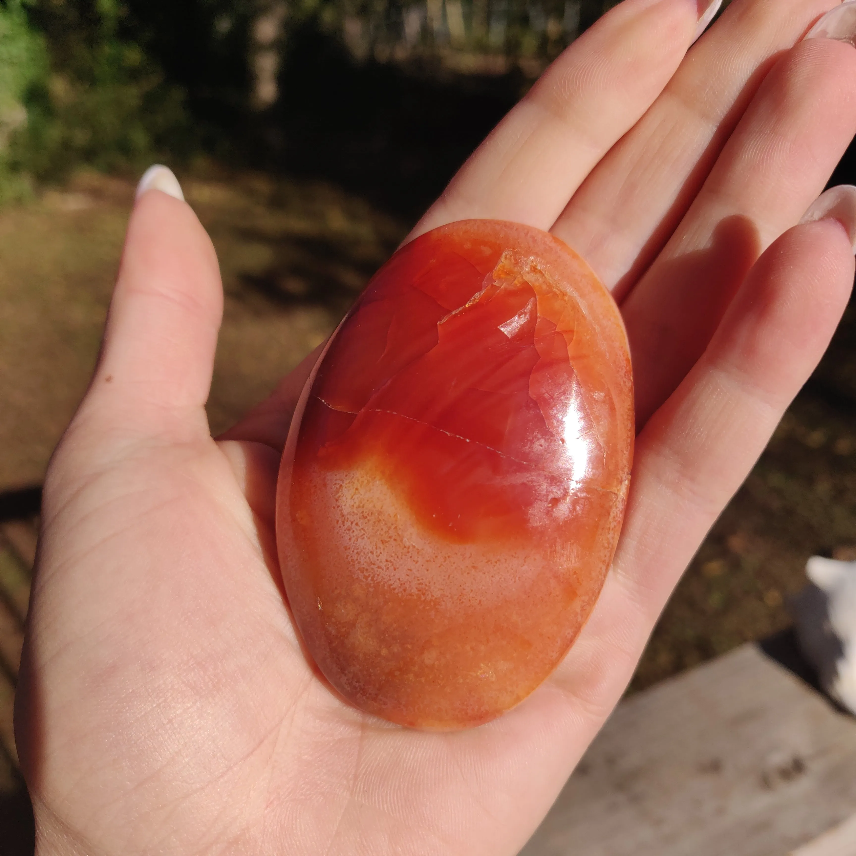 Carnelian Palm Stone (#17)