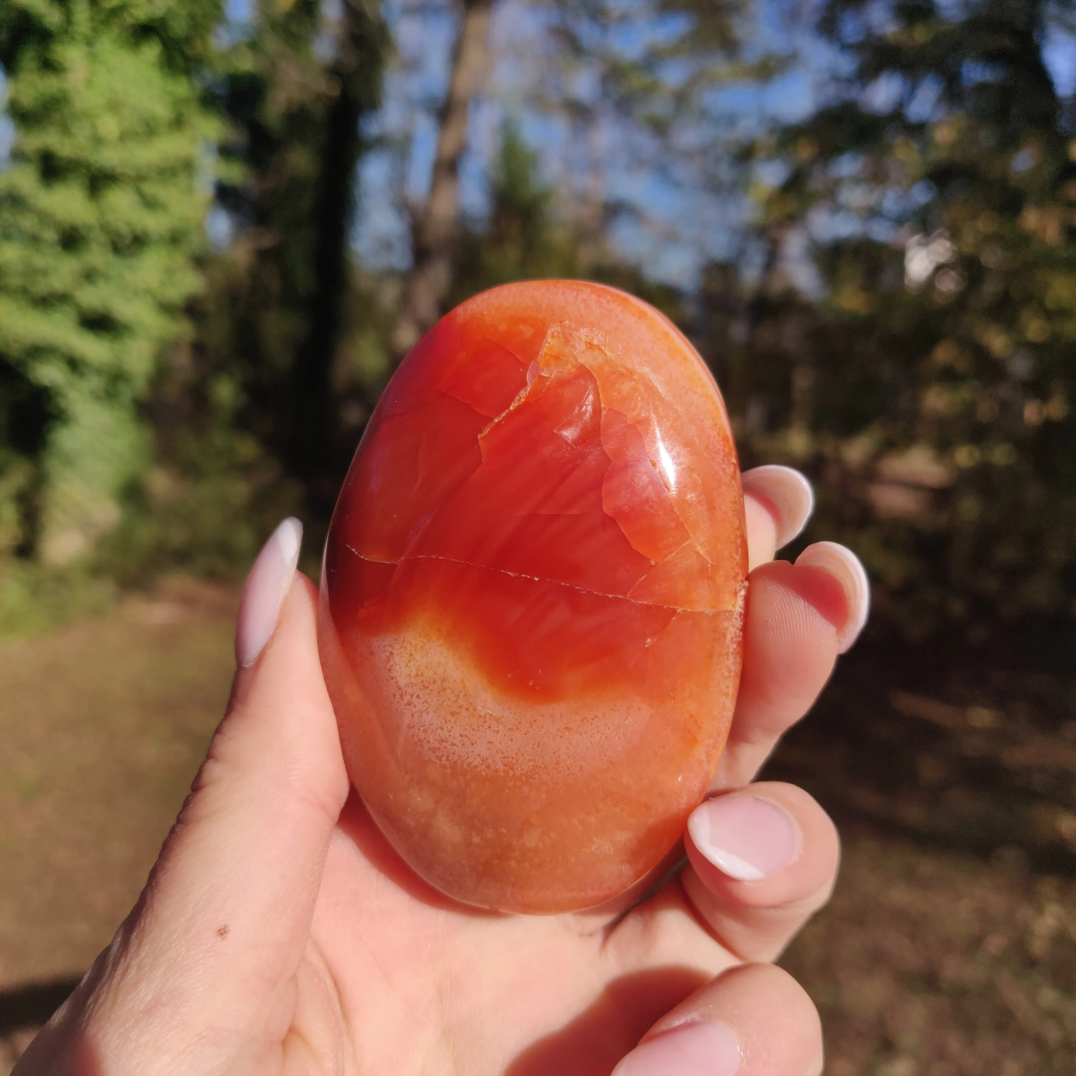 Carnelian Palm Stone (#17)