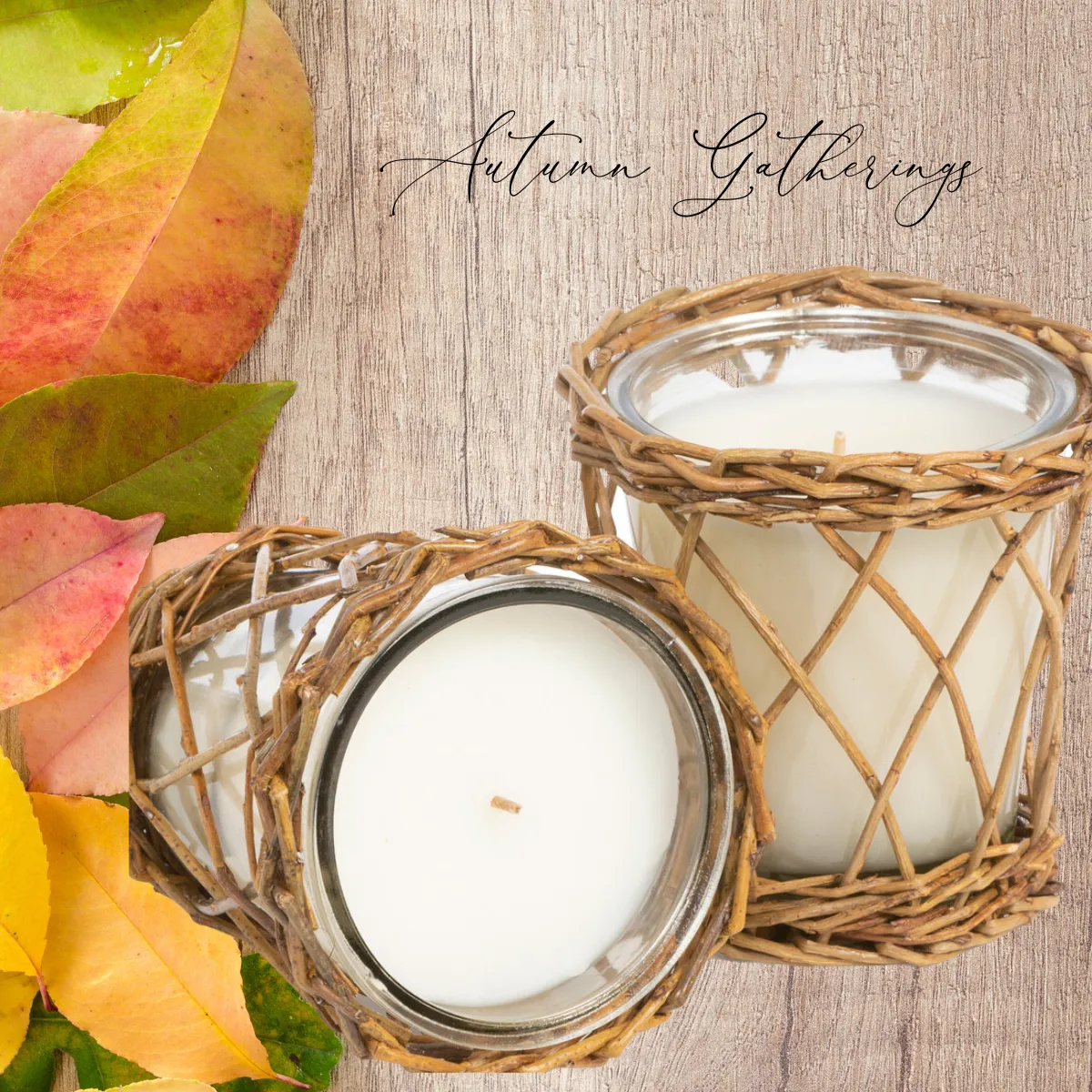 Park Hill Collection Autumn Gatherings Candle